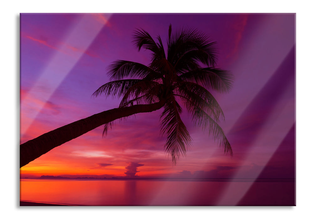 Pixxprint Palme am Meer mit Sonnenuntergang, Glasbild