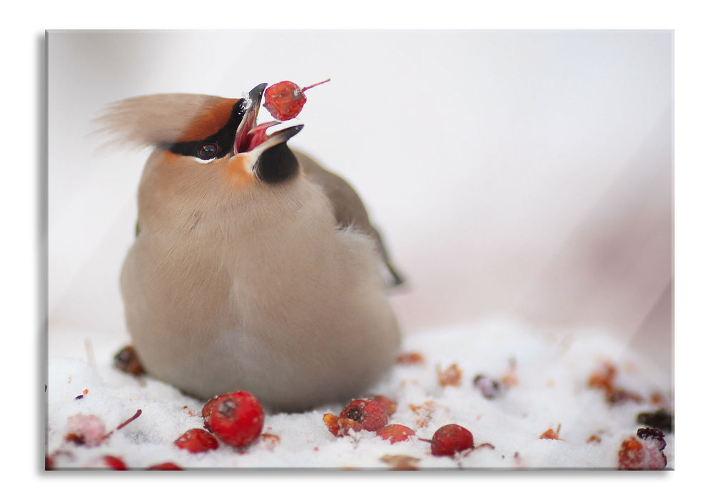 Pixxprint Kleiner Vogel im Schnee, Glasbild