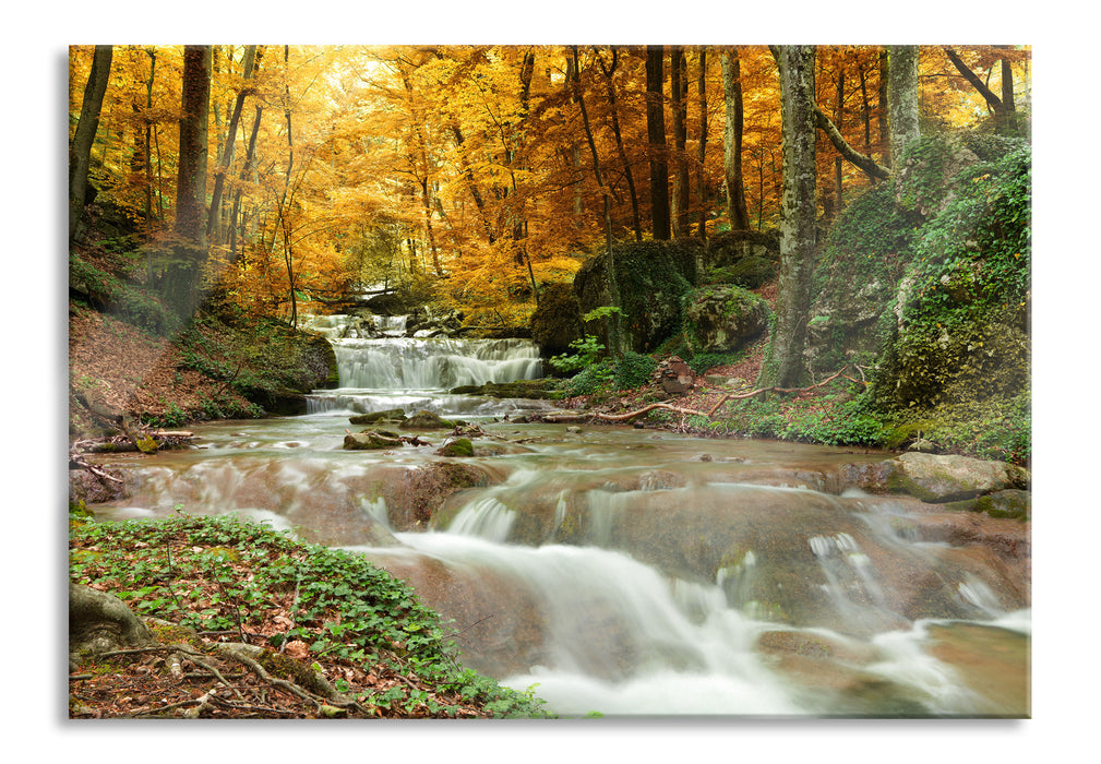 Pixxprint Waldbach im Herbst, Glasbild