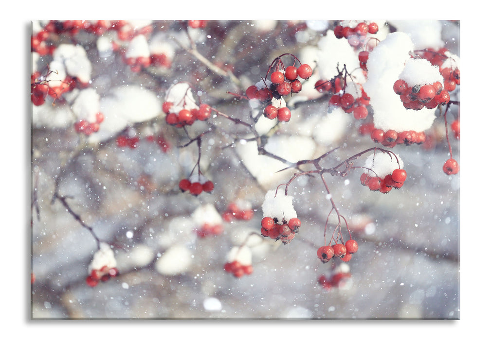 Pixxprint Vogelbeeren mit Schnee bedeckt, Glasbild