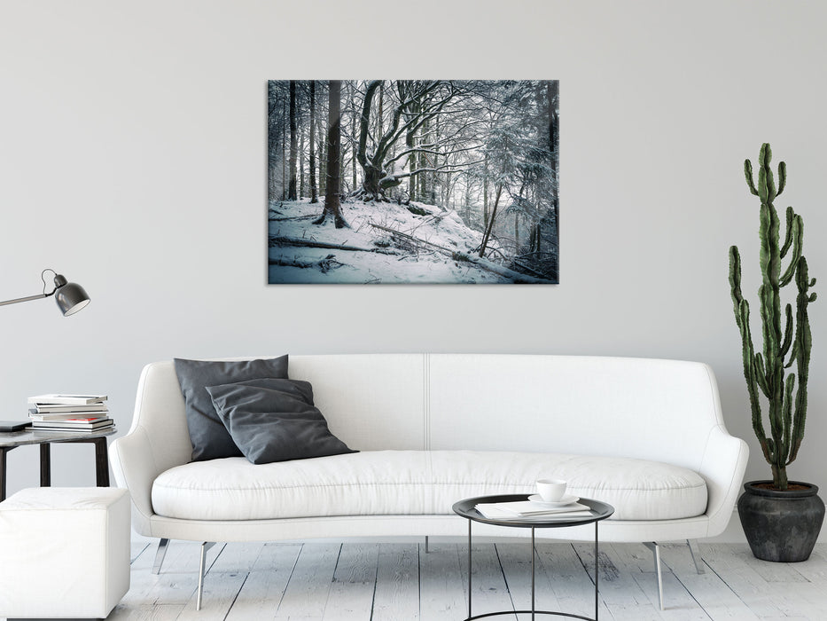 Wald mit Schnee bedeckt, Glasbild