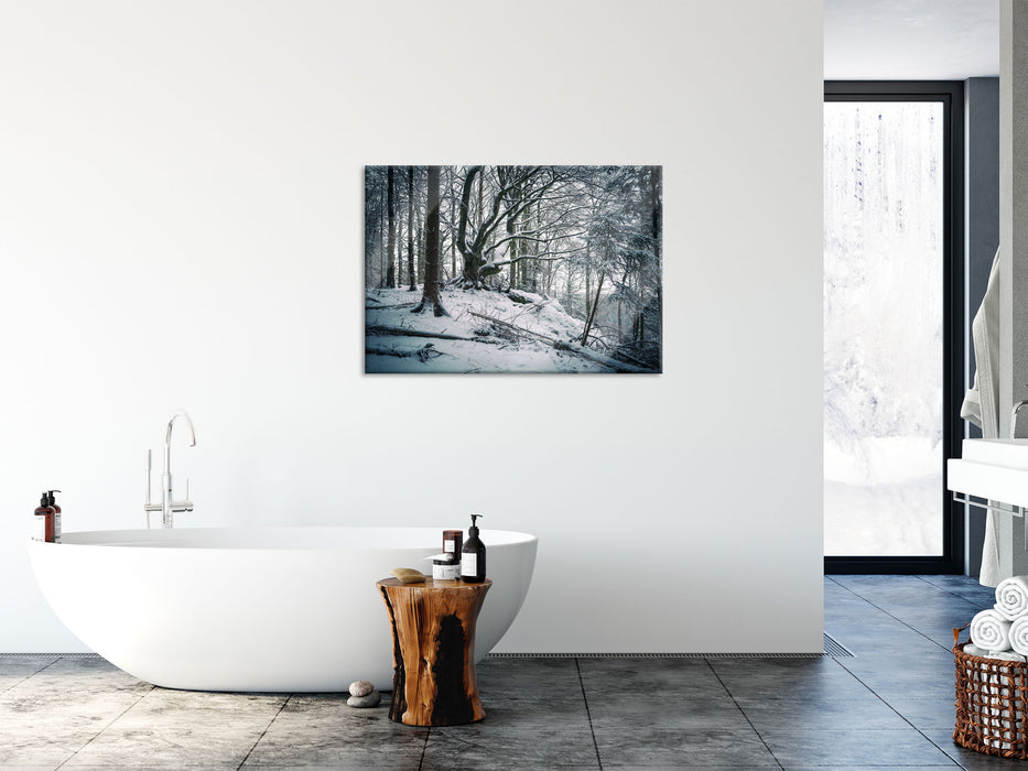 Wald mit Schnee bedeckt, Glasbild