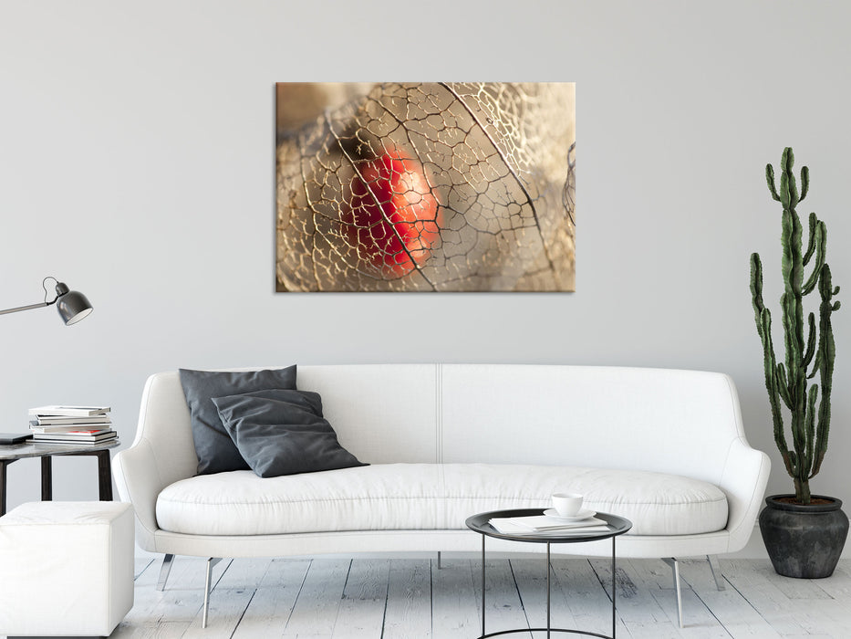 Rote Physalis, Glasbild