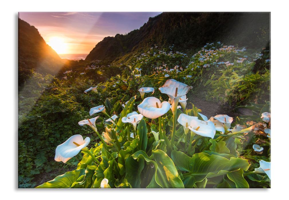 Pixxprint Blumenwiese in den Bergen, Glasbild