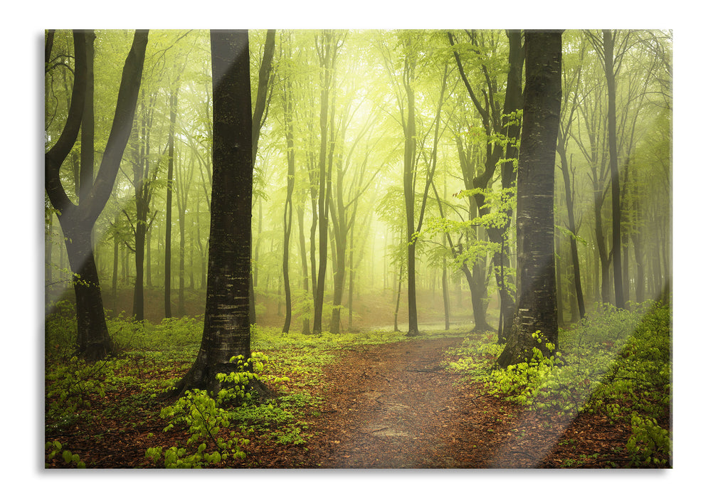 Pixxprint Weg im Wald, Glasbild