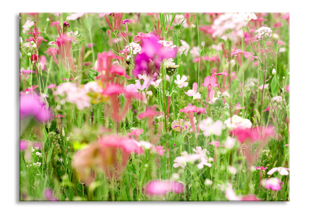 Pixxprint Wundervolle Blumenwiese, Glasbild