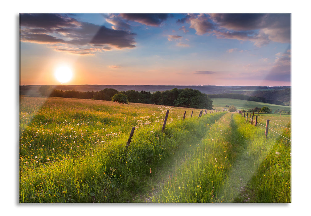 Pixxprint Bergwiese im Sonnenaufgang, Glasbild