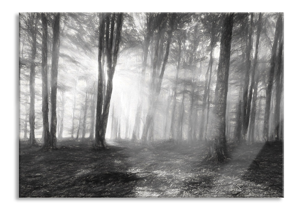 Pixxprint Waldlichtung im Sonnenschein, Glasbild