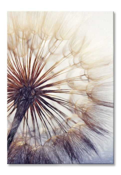 Pixxprint Schöne Pusteblume, Glasbild