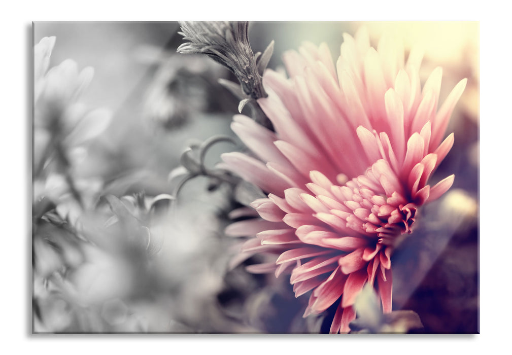 Pixxprint Romantische Blumen, Glasbild