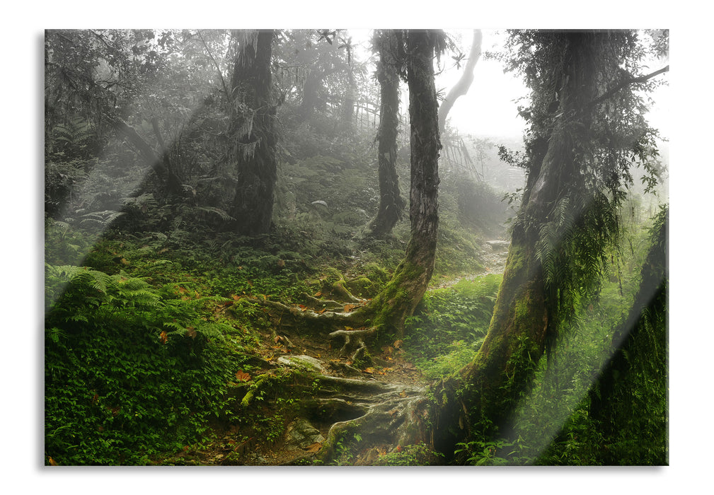 Pixxprint Unberührter Regenwald, Glasbild