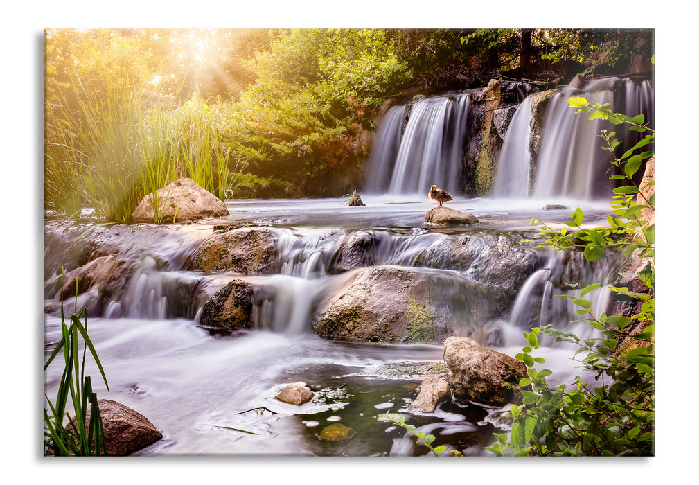 Pixxprint Wasserfall, Glasbild