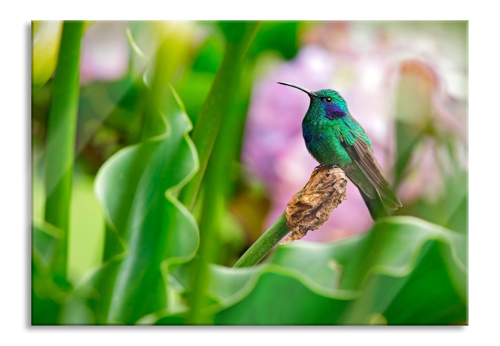 Pixxprint Kolibri in seinem Lebensraum, Glasbild