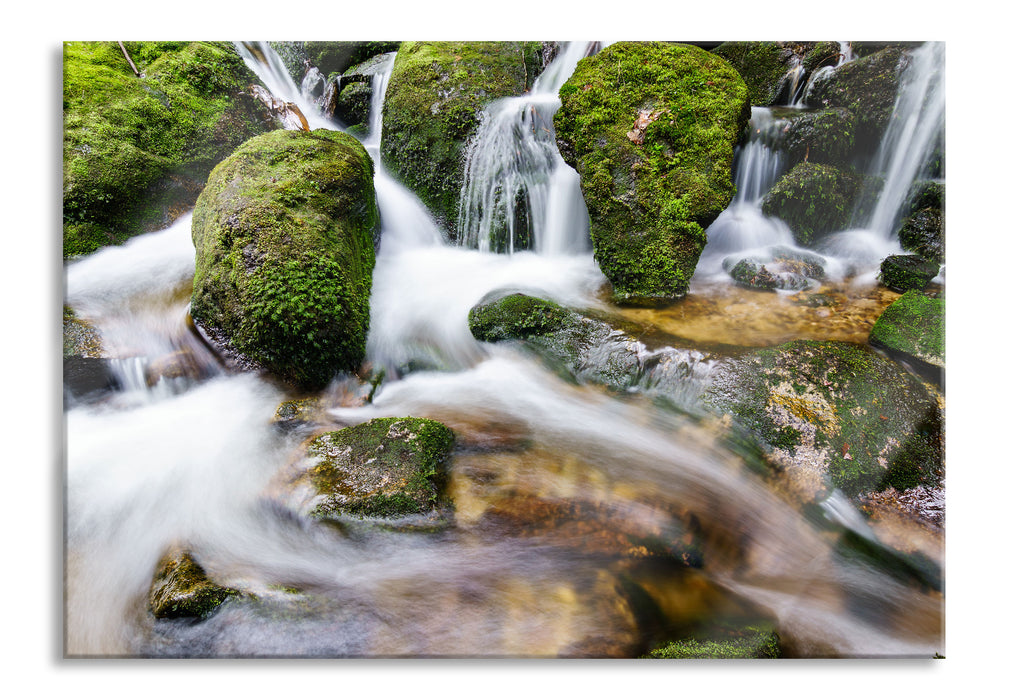 Pixxprint Gertelbach im Schwarzwald, Glasbild