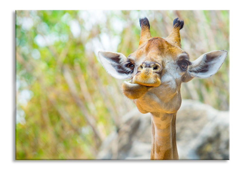 Pixxprint Giraffe in der Natur, Glasbild