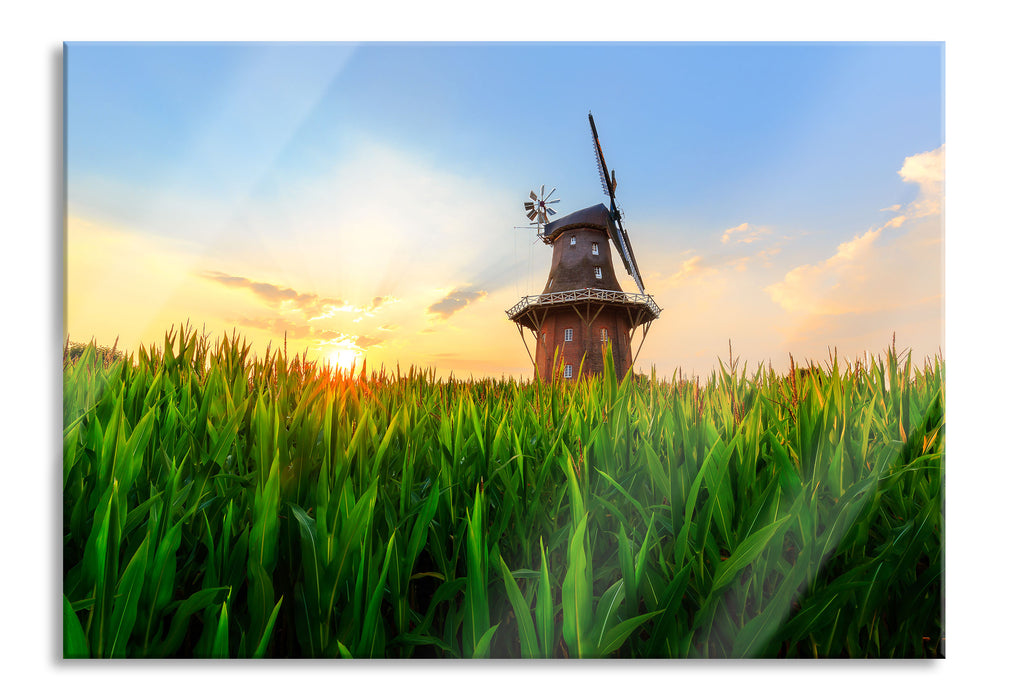 Pixxprint schöne Windmühle auf dem Feld, Glasbild