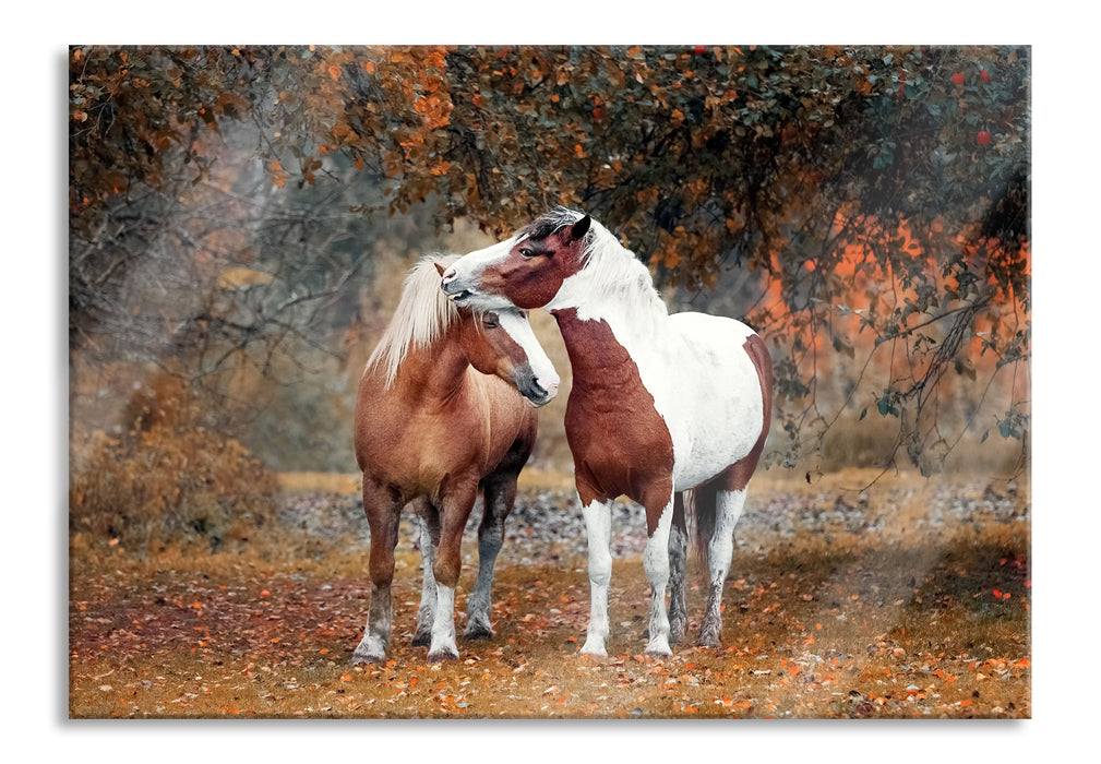 Pixxprint zwei schmusende Pferde, Glasbild