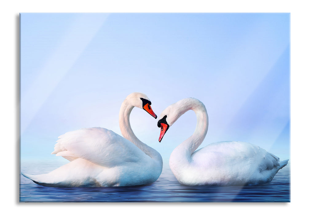 Pixxprint zwei Schwäne auf dem Wasser, Glasbild