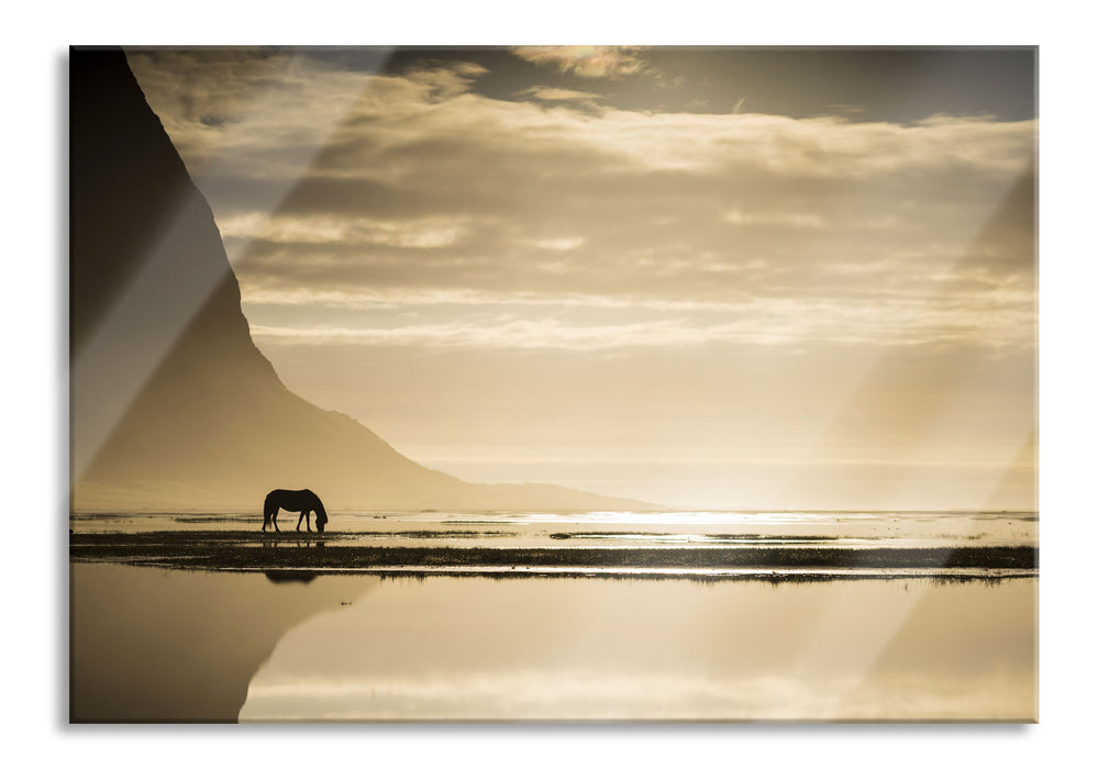 Pixxprint Pferd am Ufer einer Insel, Glasbild