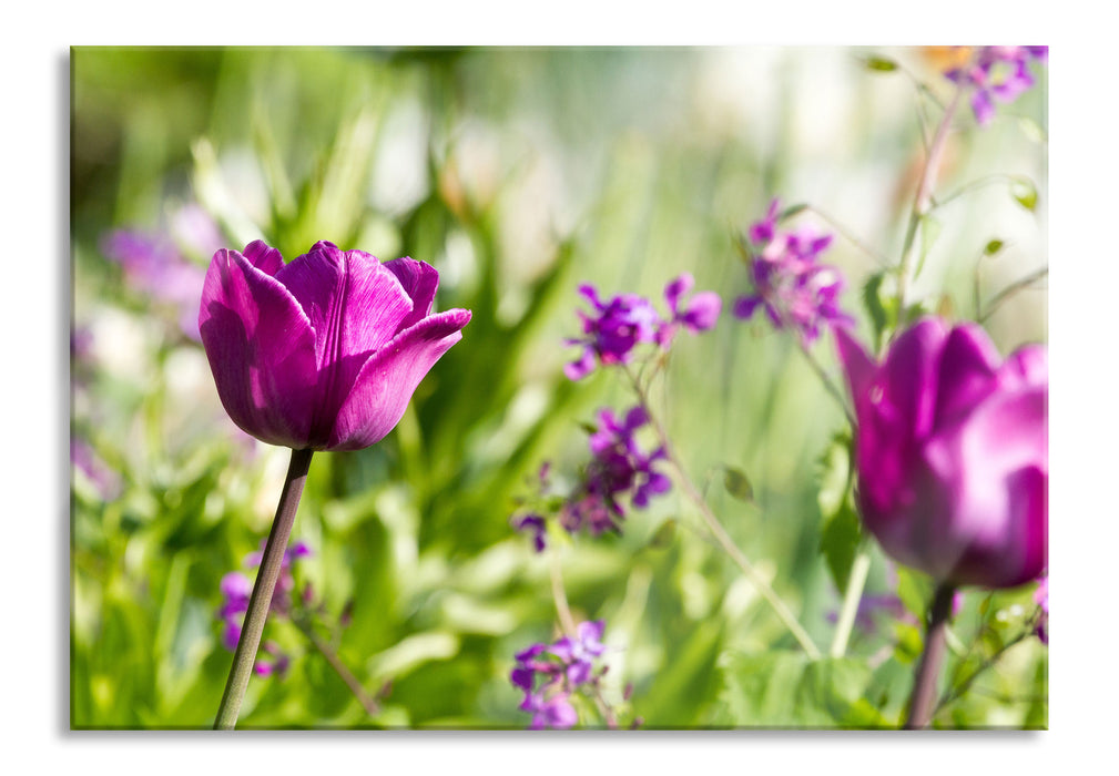 Pixxprint Blumen im Sonnenschein, Glasbild