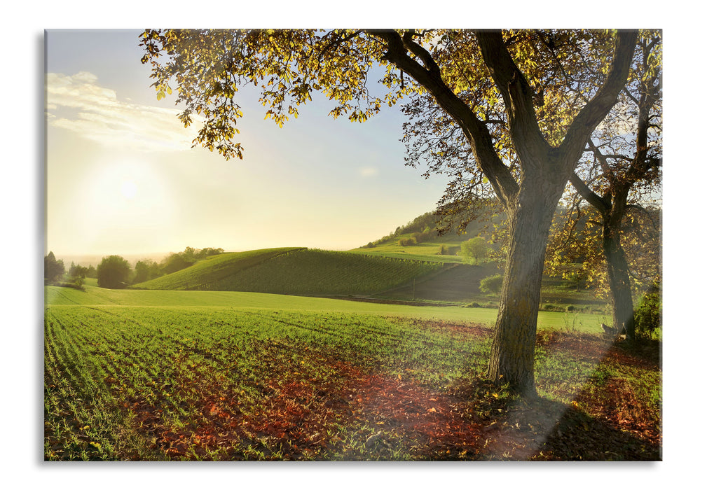 Pixxprint Landschaft im Herbst, Glasbild