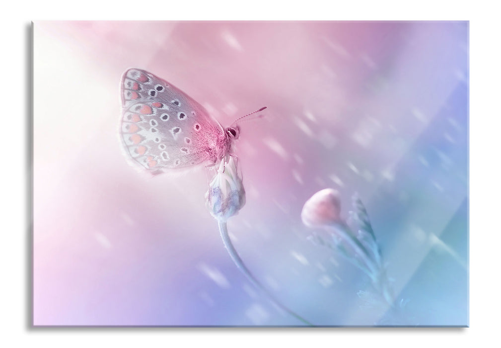 Pixxprint Schmetterling auf Blütenknospen, Glasbild