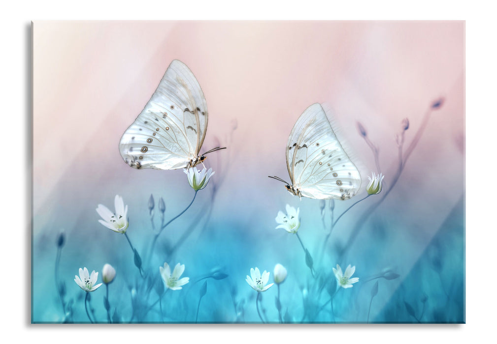 Pixxprint Schmetterling auf kleinen Blumen, Glasbild