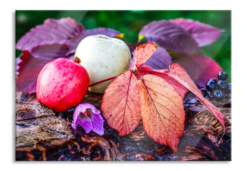 Pixxprint Äpfel und Blätter im Herbst, Glasbild