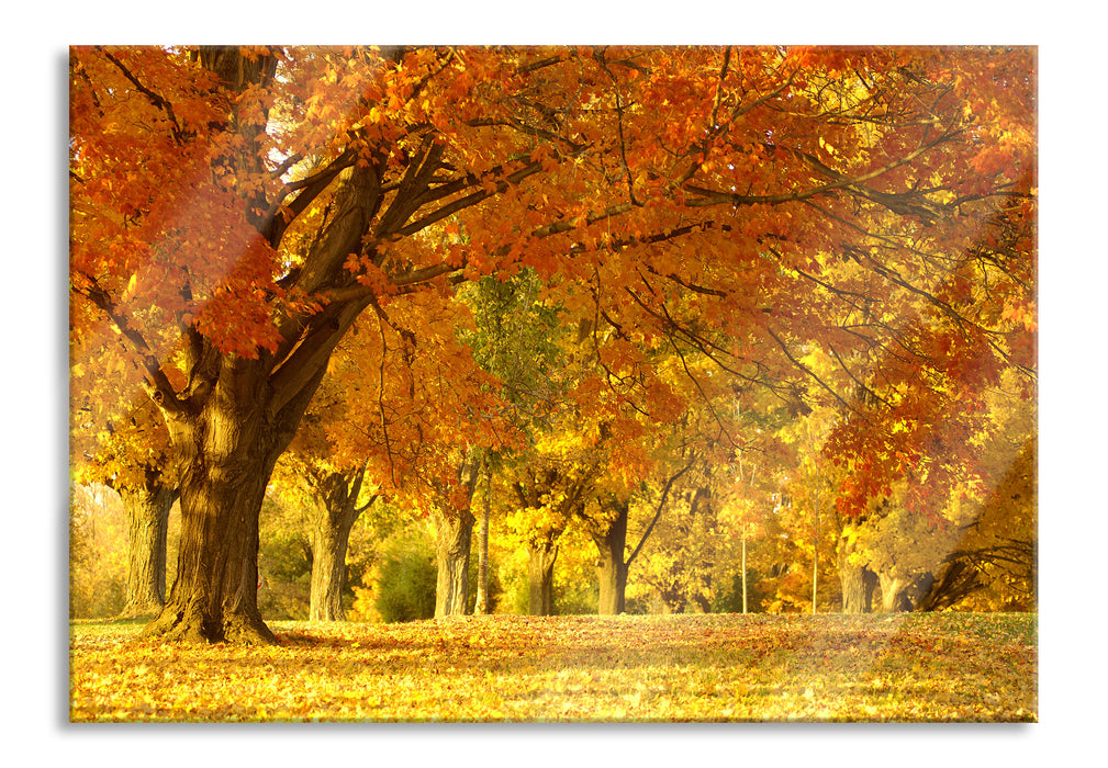 Pixxprint schöne Herbstlandschaft, Glasbild