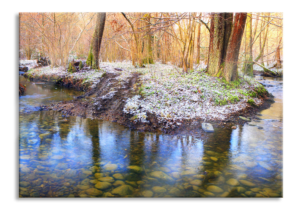 Pixxprint schneebedeckter Waldboden, Glasbild