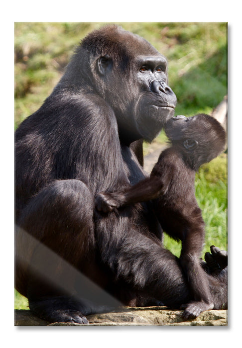 Pixxprint Gorilla-Baby küsst seine Mutter, Glasbild