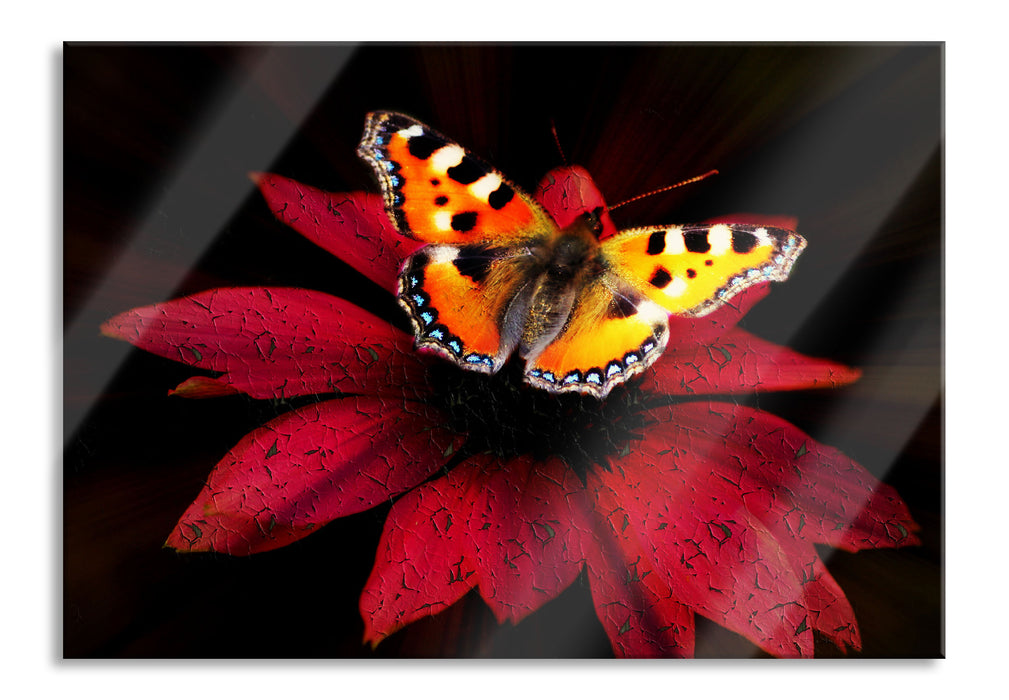 Pixxprint Schmetterling auf roter Blüte, Glasbild