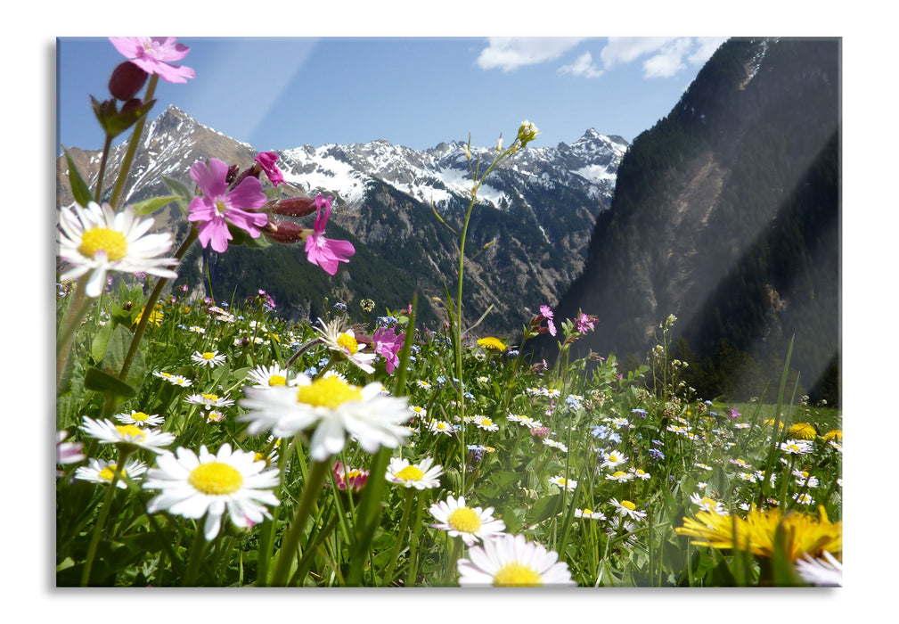 Pixxprint Wunderschöne Blumen Alpenwiese, Glasbild