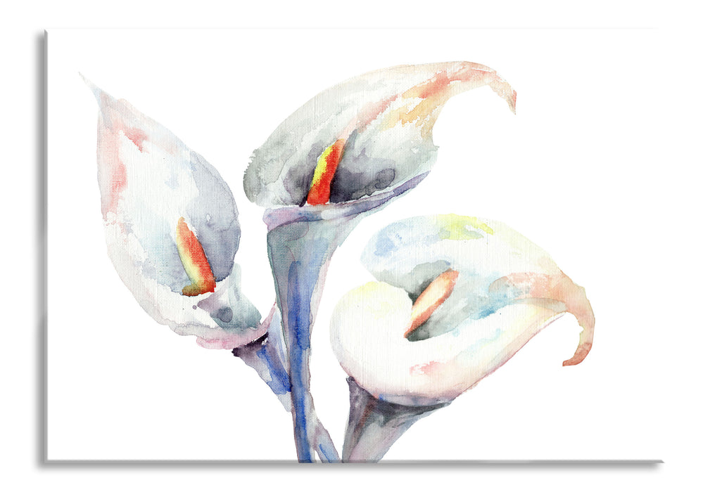 Pixxprint Aquarell Blüten Callas Kunst, Glasbild