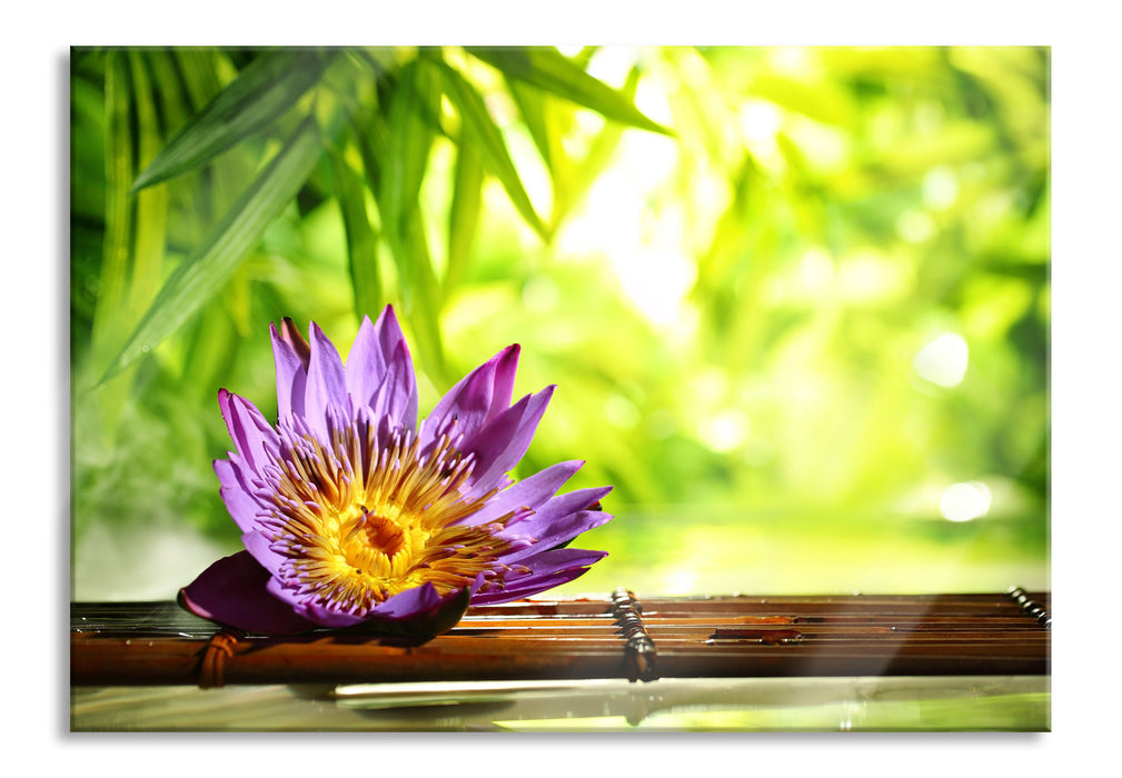 Pixxprint Seerose auf Bambus Wellness, Glasbild