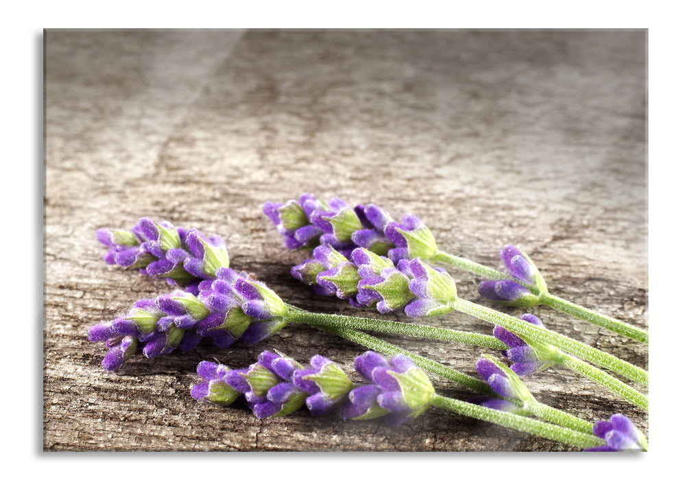 Pixxprint Liegender frischer Lavendel, Glasbild