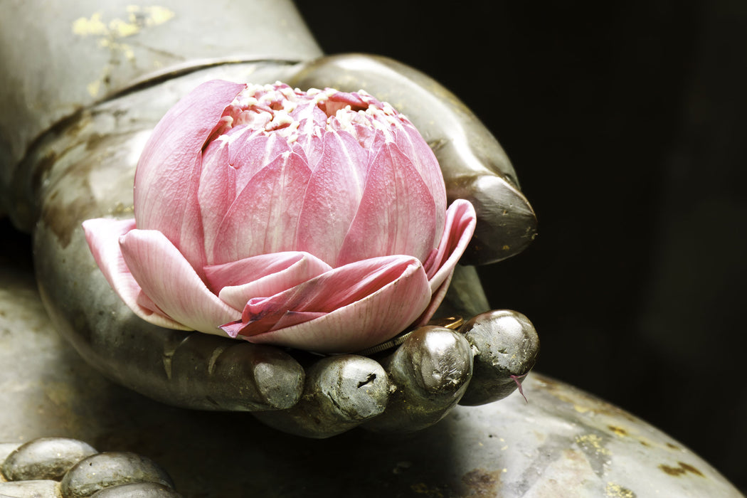 Lotus auf der Hand eines Buddhas, Glasbild