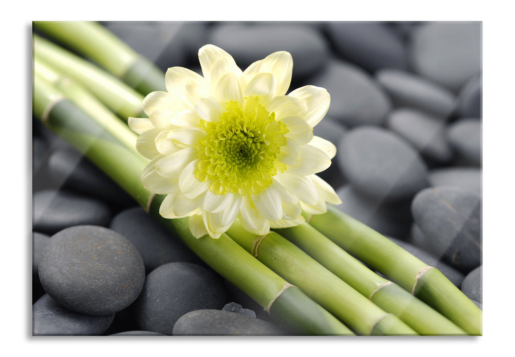 Pixxprint Kleine Blüte auf Bambus, Glasbild