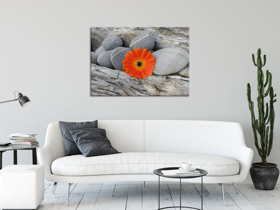 Gerbera zwischen Zen Steinen, Glasbild