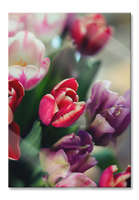 Pixxprint Wunderbarer Tulpenstrauß, Glasbild