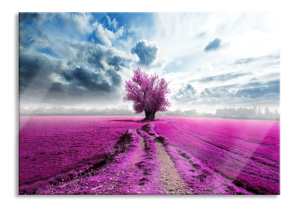 Pinkes Feld mit pinkem Baum, Glasbild