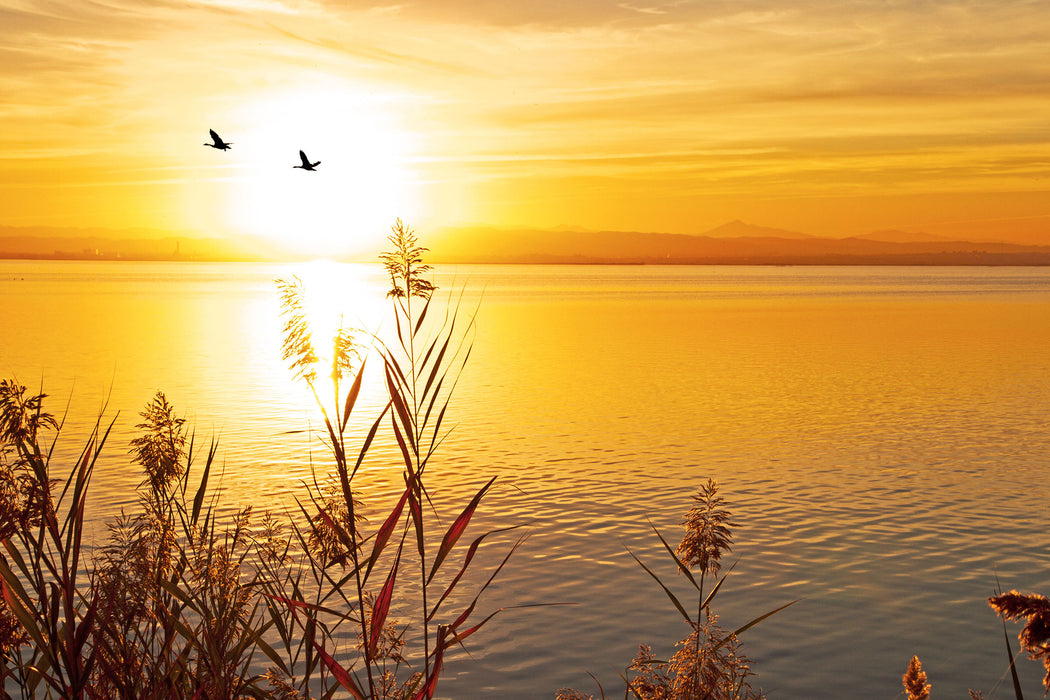 Sonnenuntergang am See, Glasbild