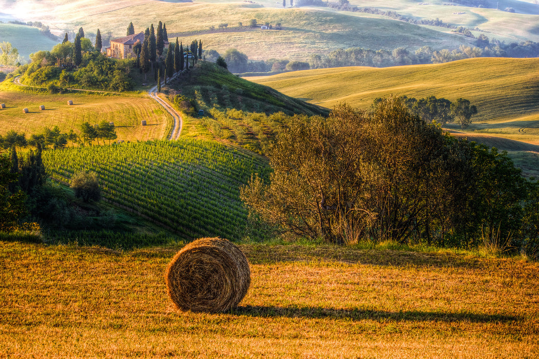 Italienische Toskana Landschaft, Glasbild