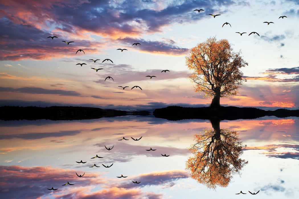 Baum spiegelt sich im Wasser, Glasbild