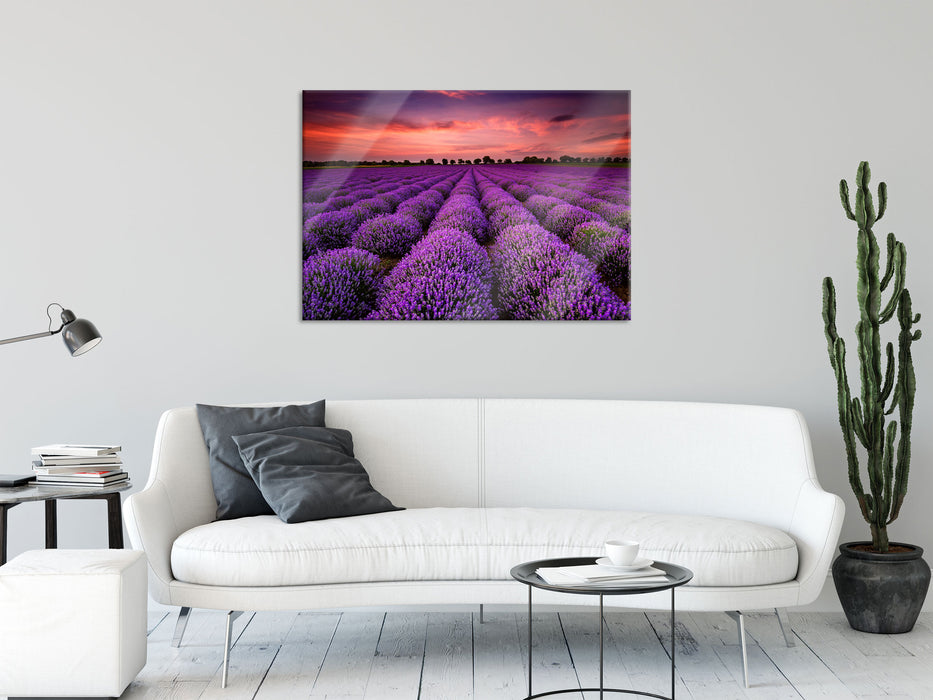 Wunderschöne Lavendel Provence, Glasbild