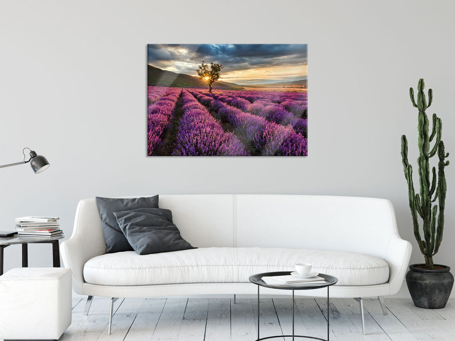 Lavendel Provence mit Baum, Glasbild