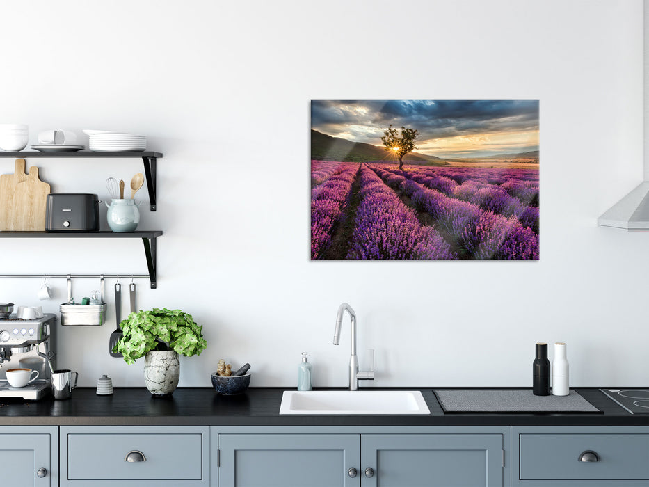 Lavendel Provence mit Baum, Glasbild