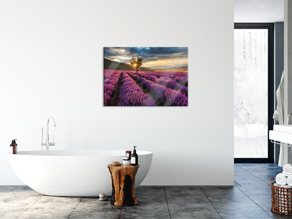 Lavendel Provence mit Baum, Glasbild