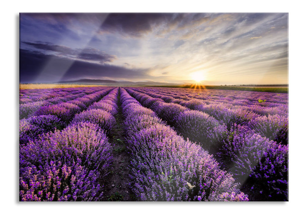 Traumhafte Lavendel Provence, Glasbild