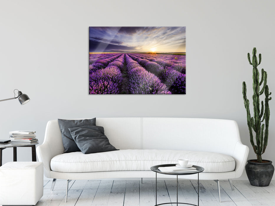 Traumhafte Lavendel Provence, Glasbild